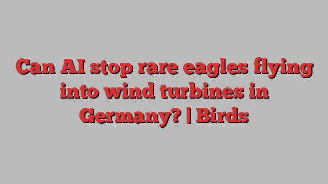 Can AI stop rare eagles flying into wind turbines in Germany? | Birds