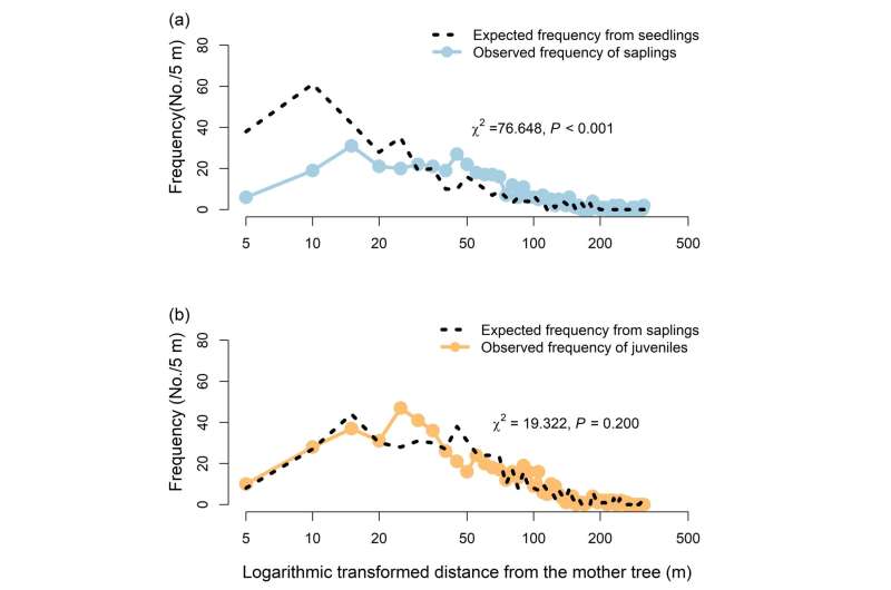 Differential impacts of adult trees on offspring and non-offspring recruits in a subtropical forest