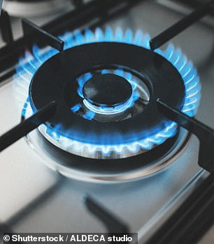 Freeze energy bills or cap rises at 5%, say Ros Altmann and Frank Field