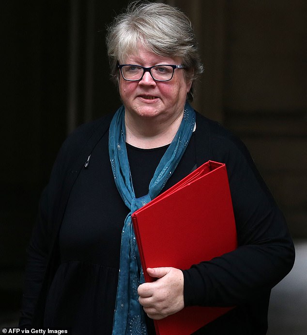 GPs warn Therese Coffey’s rescue plan will have ‘MINIMAL impact’