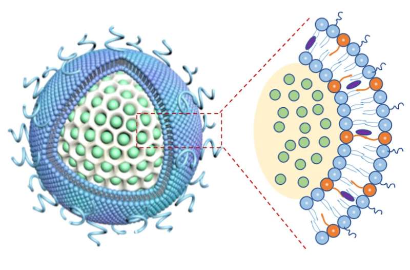 'Glass bubble' nanocarrier boosts effects of combination therapy for pancreatic cancer