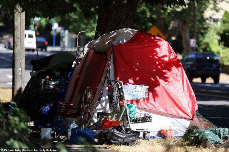 ‘I’m done with Portland’: Homeless people are forcing ‘terrified’ residents to sell their homes