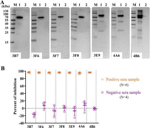 Novel P22-monoclonal antibody based blocking ELISA for the detection of African swine fever virus antibodies in serum