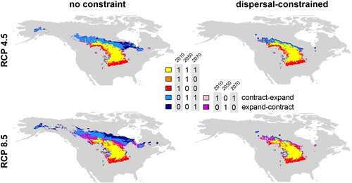 In a warmer world, half of all species are on the move. Where are they going?