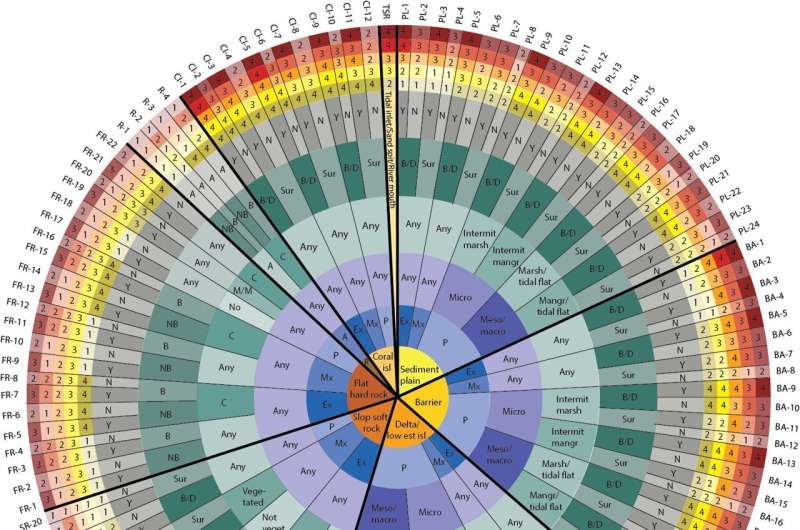 New classification of the world's coastlines to improve climate action