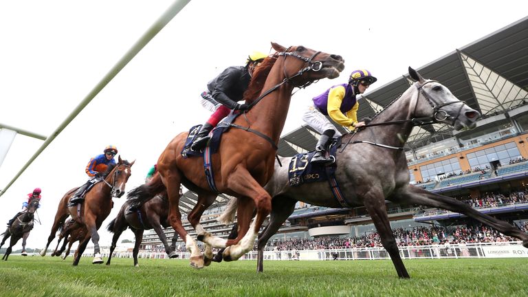 Princess Zoe, right, alongside Stradivarius on her way to finishing second in this year&#39;s Ascot Gold Cup