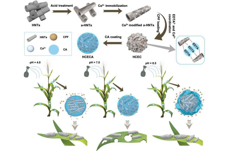 Scientists fabricate acid/alkali dual PH-responsive smart pesticide delivery system