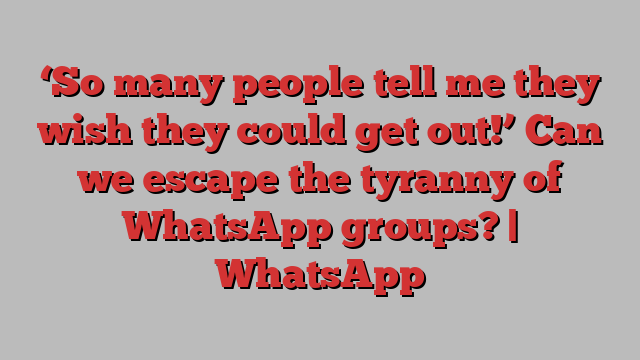 ‘So many people tell me they wish they could get out!’ Can we escape the tyranny of WhatsApp groups? | WhatsApp