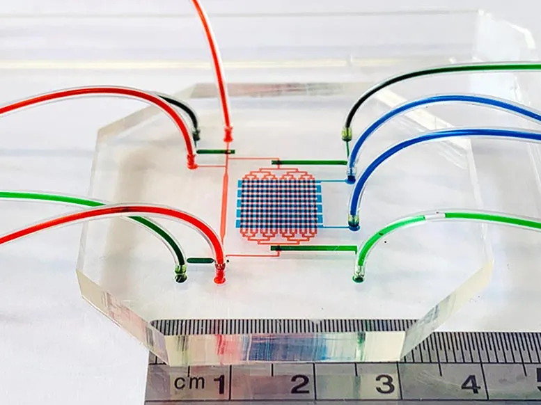 Multifluidic Device Emulates Embryo’s Beating Heart