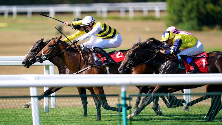 New Hope Bullet (pink) comes through late behind Safari Draem (white cap)