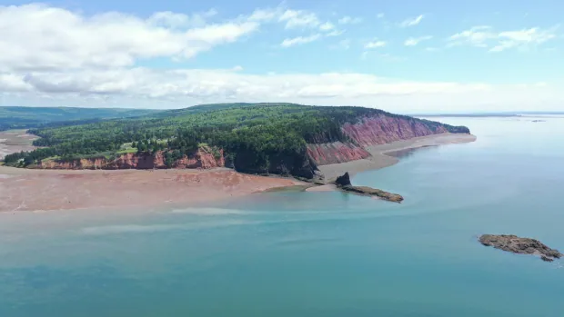 How do tides and turbines affect sealife? Fundy study hopes to find out