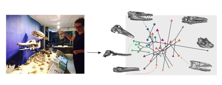 Did primitive cetaceans feed like marine reptiles?