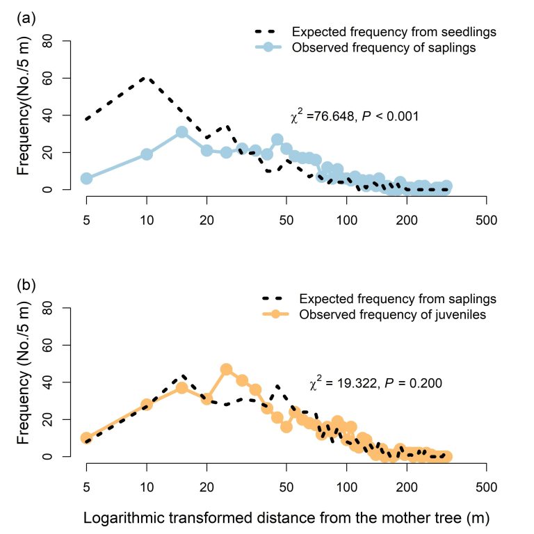 Differential impacts of adult trees on offspring and non-offspring recruits in a subtropical forest