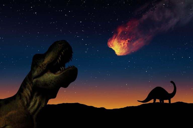 When did dinosaurs go extinct? The theories on how it happened and what survived