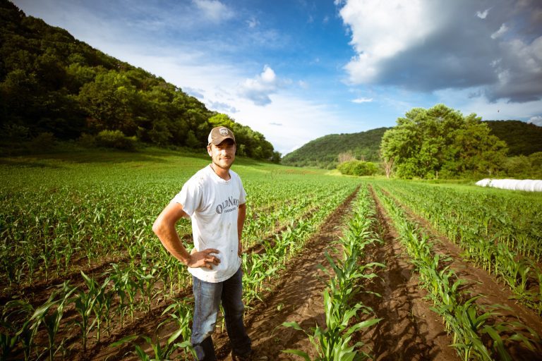 Lack of public appreciation contributes to loneliness in farming, study shows