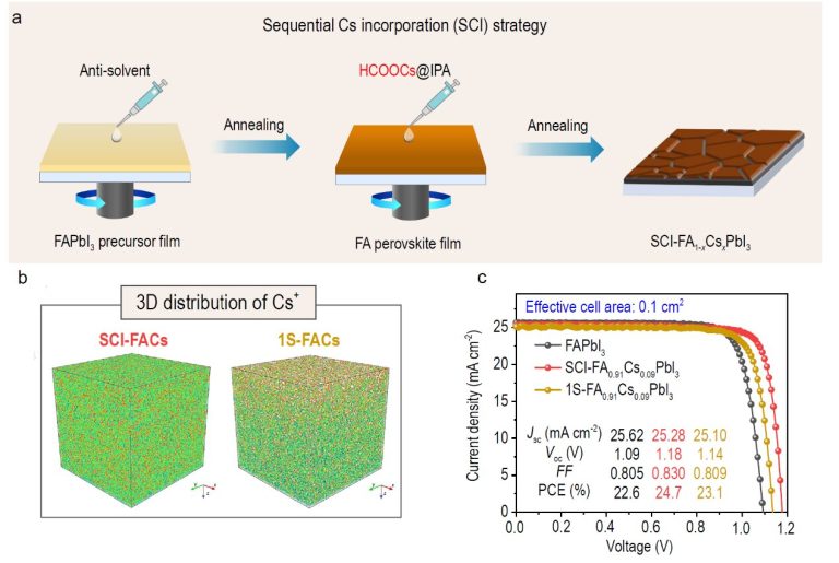 Decoupling engineering of formamidinium–cesium perovskites for efficient photovoltaics