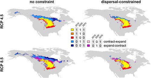 In a warmer world, half of all species are on the move. Where are they going?