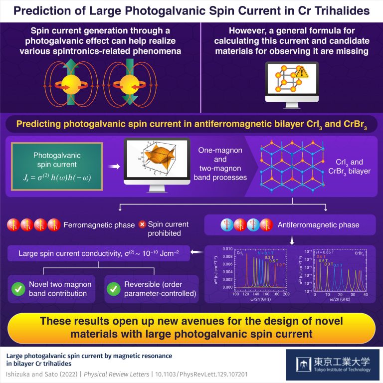 Investigating magnetic excitation-induced spin current in chromium trihalides