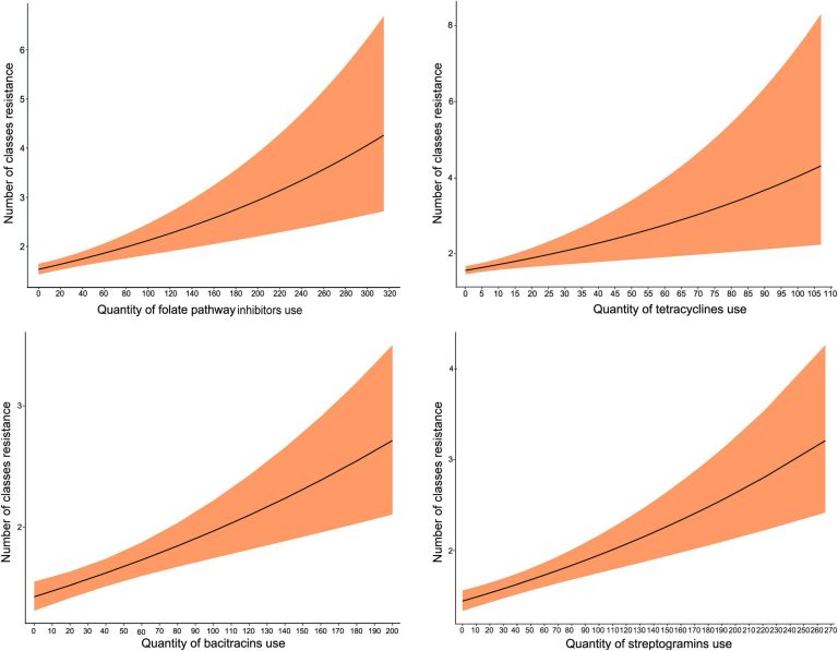 Modeling antimicrobial use and resistance in Canadian turkey flocks