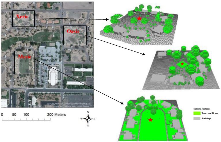 Removing turf-grass saves water. But will it increase urban heat?