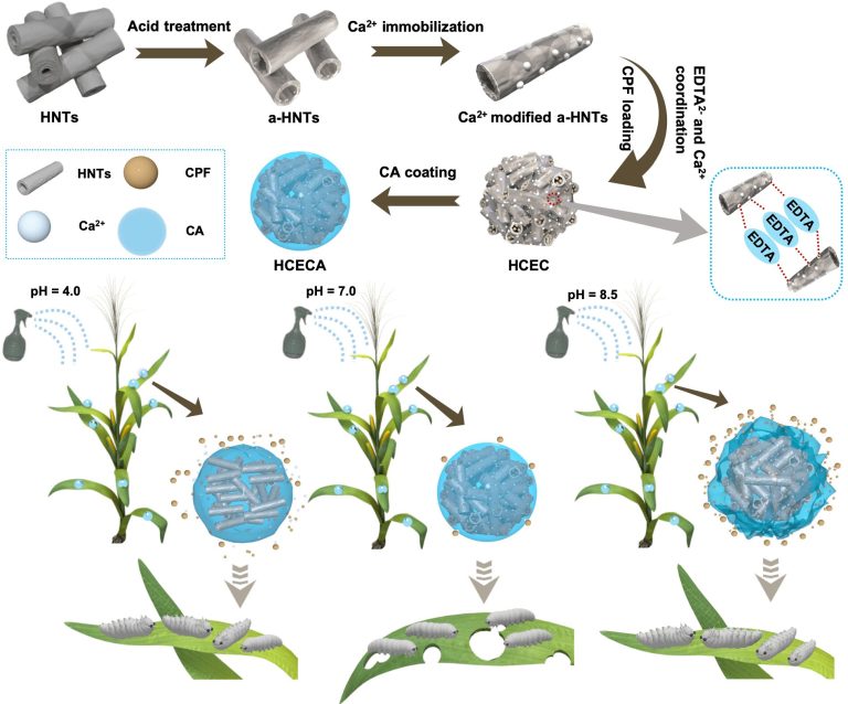 Scientists fabricate acid/alkali dual PH-responsive smart pesticide delivery system