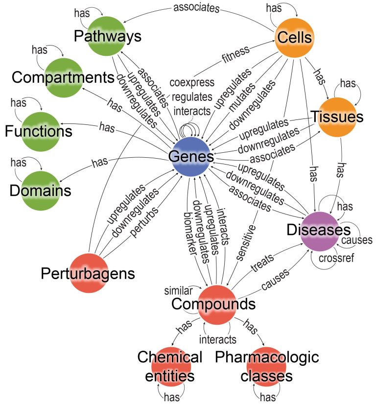 A computational tool to harmonize biological knowledge