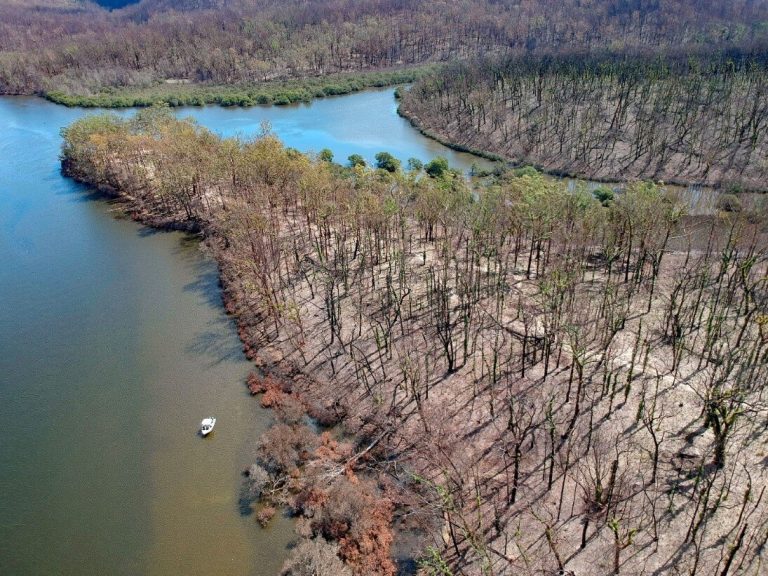 The impact of megafires on estuaries from Australia’s ‘Black Summer’