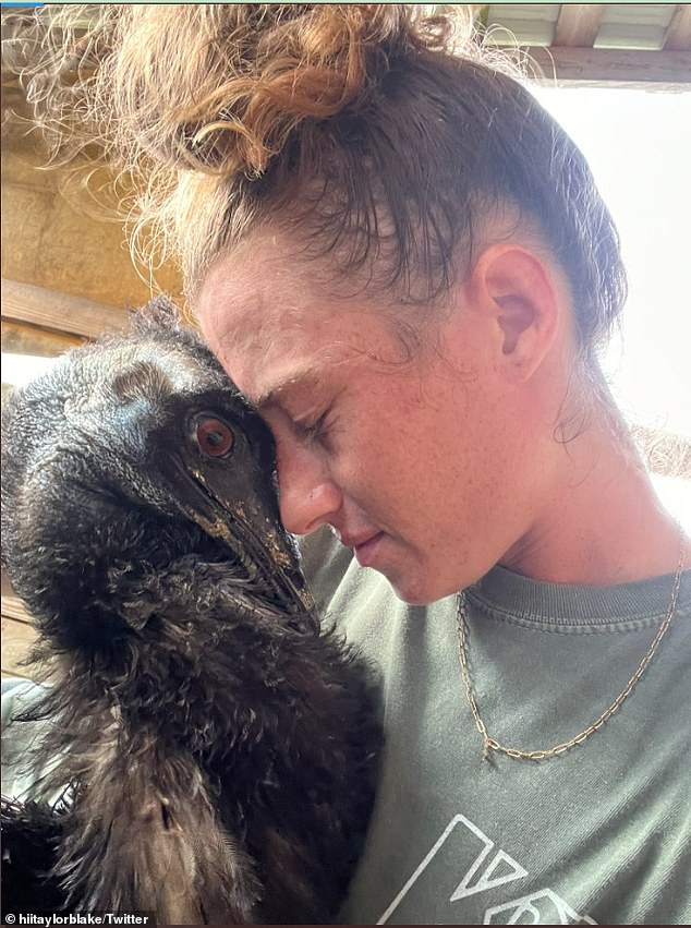 Taylor, also known as Eco Sister on Twitter, has been sharing her story on social media since her farm, Knuckle Bump Farm, in South Florida was struck by the epidemic