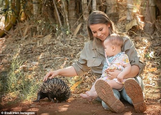 Although Bindi was not able to provide too much support she was able to send her love and hope to the farm, she said: 'Thank you so much for reaching out. Though our Wildlife Hospital which has treated over 100,000 animals including emus, we have never treated an emu with this particular disease'