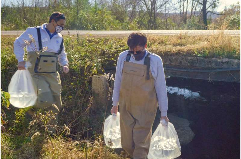 Tiny Tennessee fish protected, but US has yet to say where