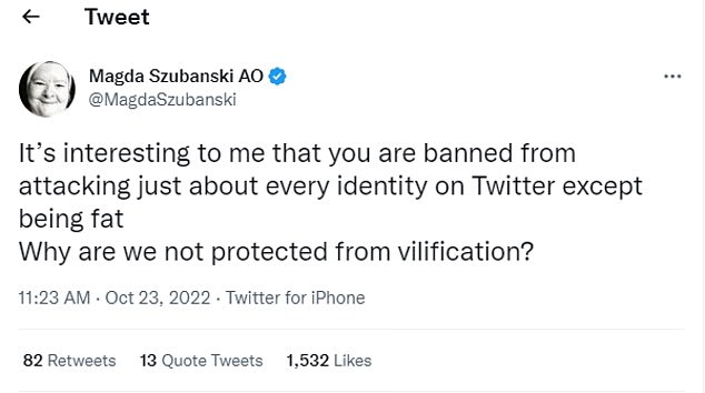 'It's interesting to me that you are banned from attacking just about every identity on Twitter except being fat. Why are we not protection from vilification?' she mused