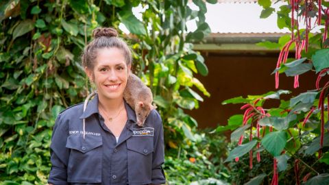 Behavioral research scientist Donna Kean (pictured) says the rats are friendly, sociable, and easy to work with.