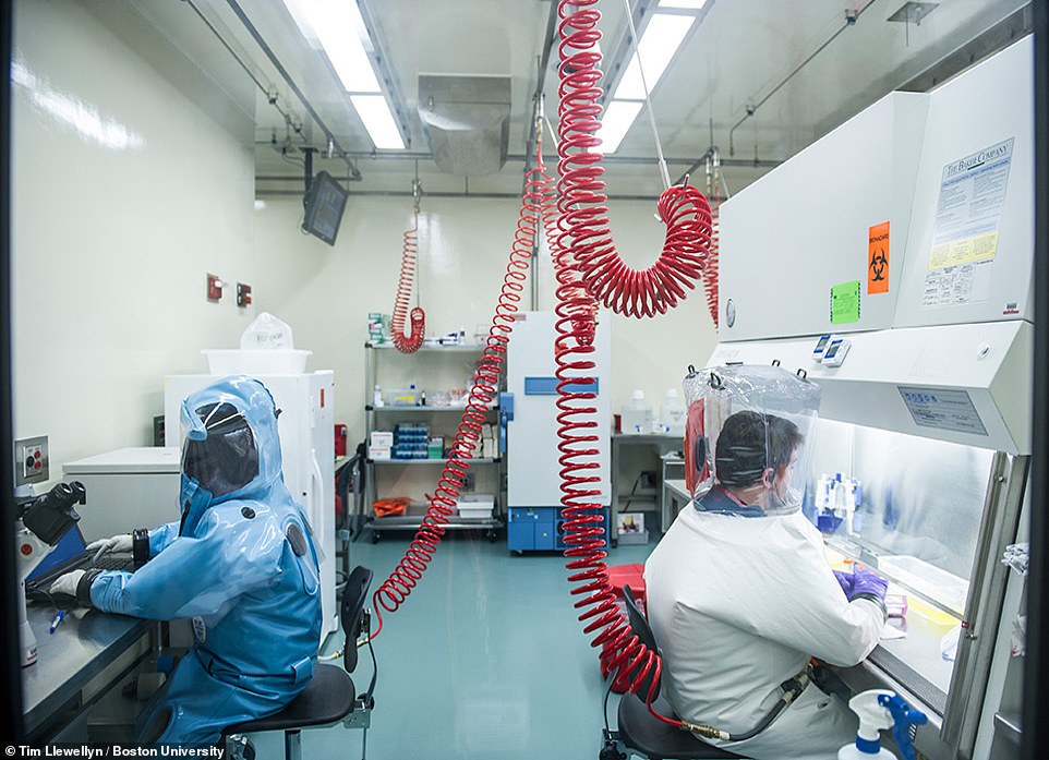 Pictured above are scientists working at the lab. Controversy surrounds the center after it emerged scientists there had carried out potential gain-of-function experiments