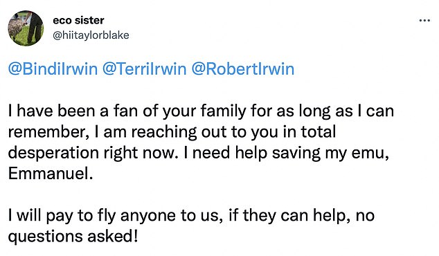 She thought her beloved bird Emmanuel was the latest bird to contract the flu, prompting Taylor to send a desperate plea to the Irwin clan