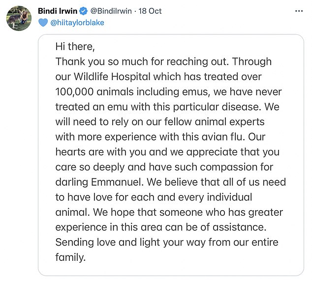 Bindi responded by saying she wasn't able to provide too much support because the team at the Australia Zoo Wildlife Hospital had never treated birds with avian flu, but did send her 'love and prayers' to the farm