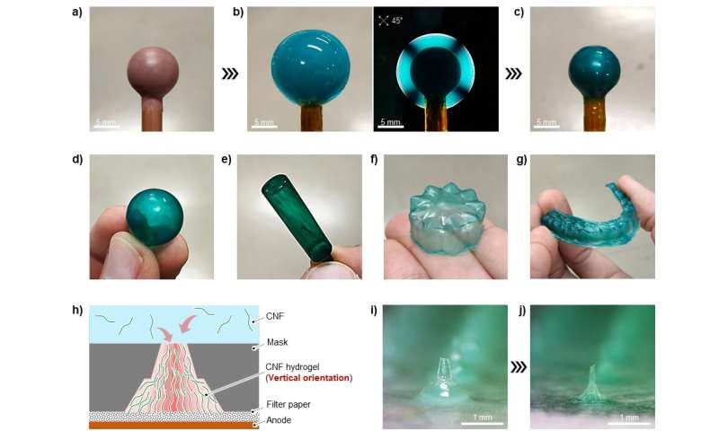 These cellulose nanofibers might be an alternative to petroleum-based