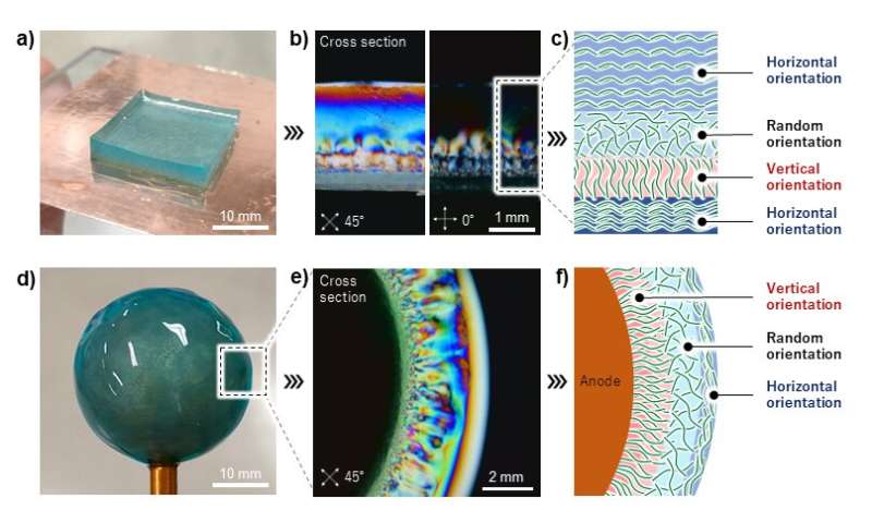 These cellulose nanofibers might be an alternative to petroleum-based