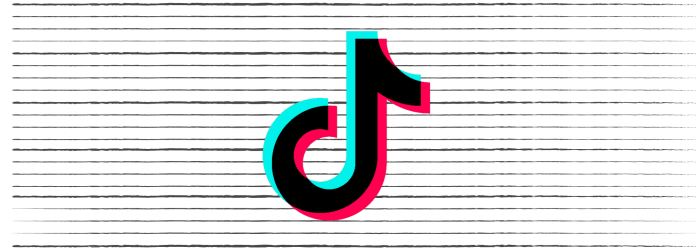 The TikTok logo 