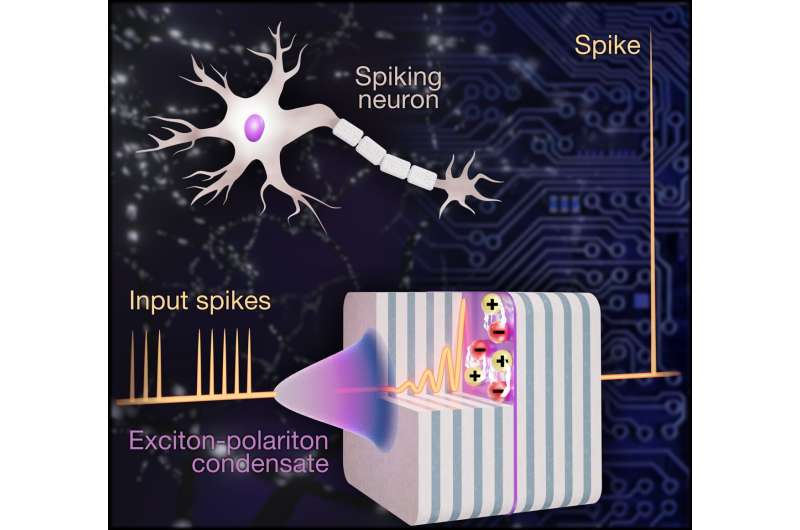 An artificial polariton neuron as a step towards photonic system that mimics the operation of the human brain