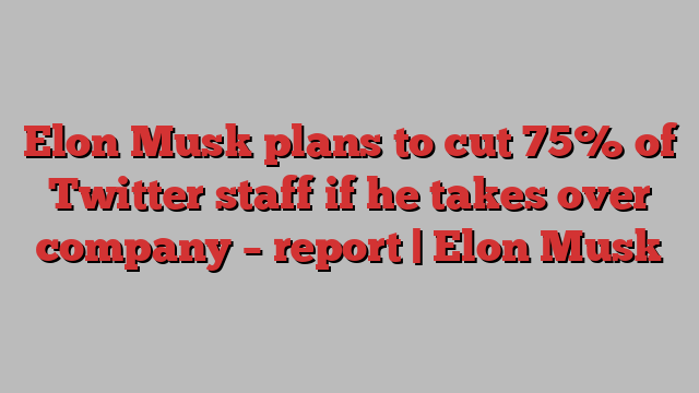 Elon Musk plans to cut 75% of Twitter staff if he takes over company – report | Elon Musk