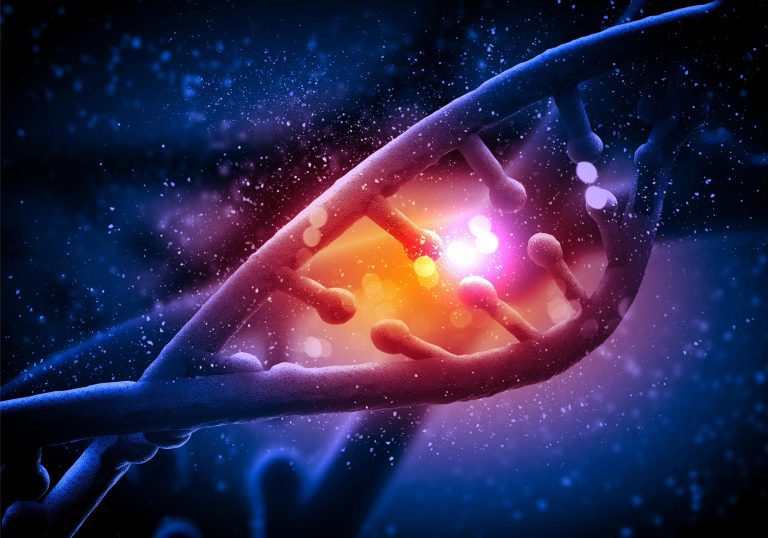 New Protein Discovery Could Unlock Secrets of DNA Replication and Cancer