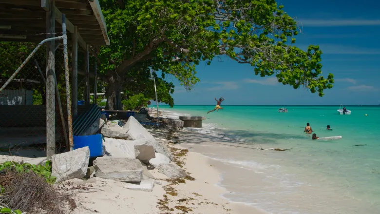 An open structure surrounded by flat rocks on a white sunny beach. In the background, a big leafy tree hangs over the bright green ocean, and a young man leaps into the water. Several other people are in the ocean, some swimming, some boating and some with surfboards. 