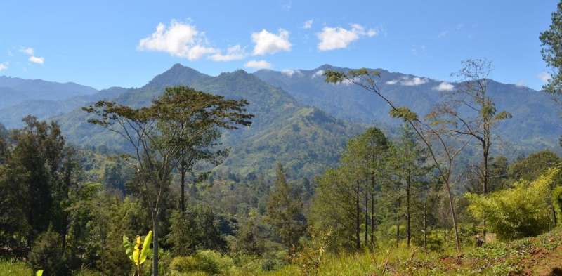 New dates suggest Oceania’s megafauna lived until 25,000 years ago, implying coexistence with people for 40,000 years