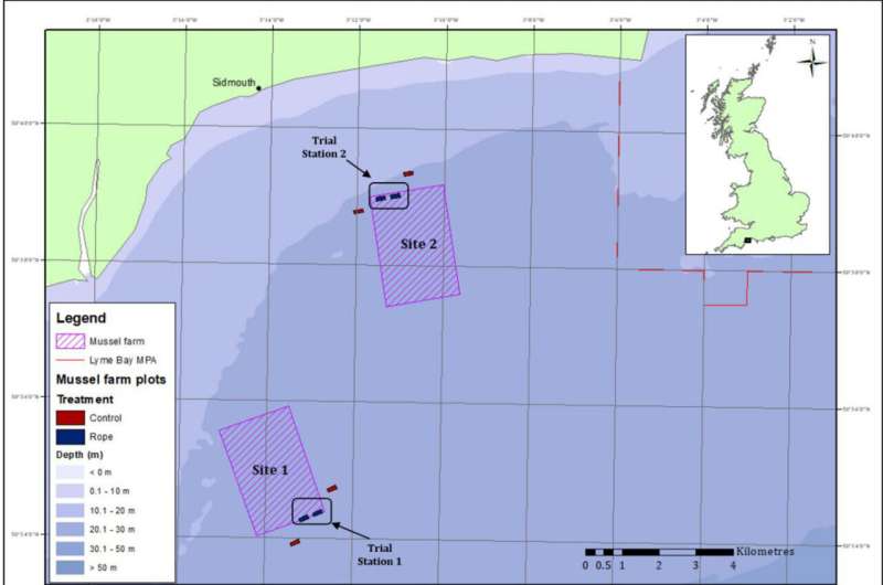 Offshore mussel farms could have wider environmental benefits