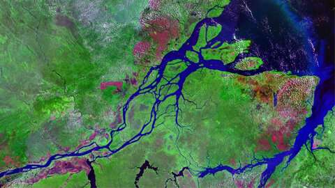 Efficiency of deltaic sediments to store organic carbon for hundreds of thousands of years demonstrated