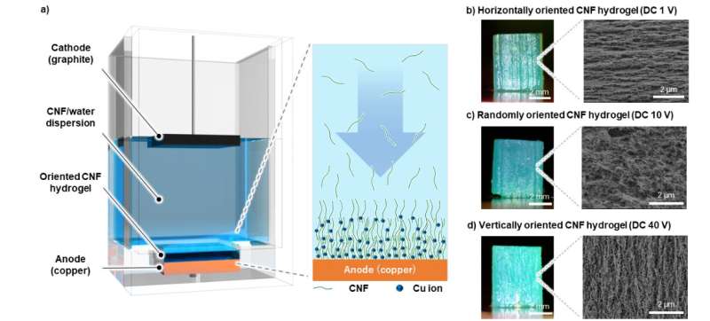 These cellulose nanofibers might be an alternative to petroleum-based