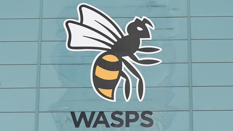 Wasps