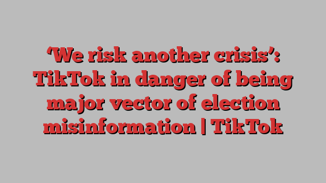 ‘We risk another crisis’: TikTok in danger of being major vector of election misinformation | TikTok