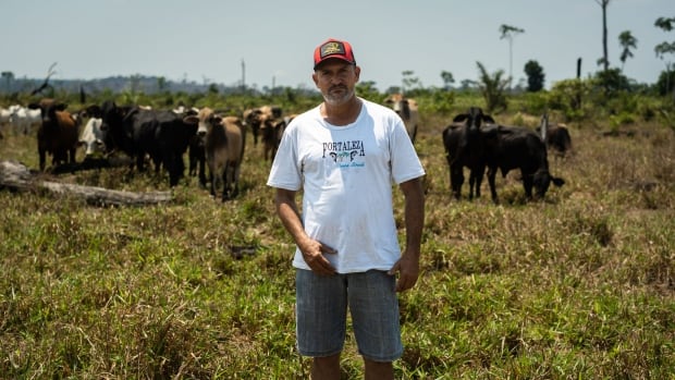 The fate of the Amazon at stake as Brazil votes