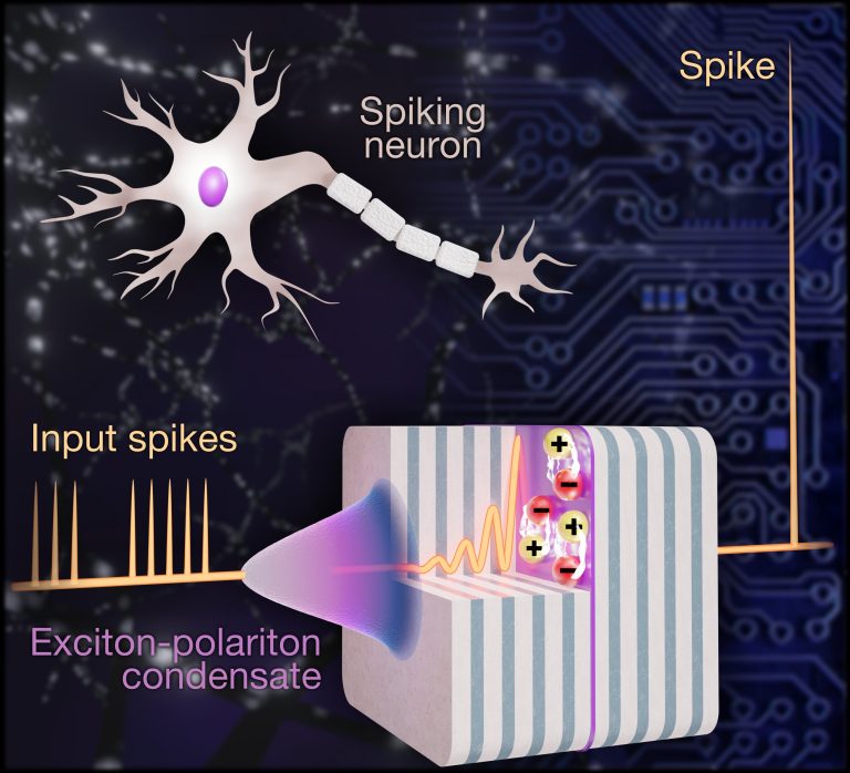 An artificial polariton neuron as a step towards a photonic system that mimics the operation of the human brain